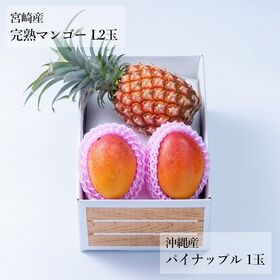 旬のフルーツセットH14 (マンゴー・パイン)