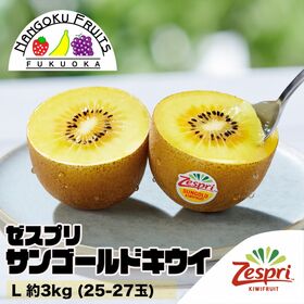 【父の日予約受付】6/16~順次出荷【ニュージーランド】 L約3kg  ゼスプリ・サンゴールドキウイ