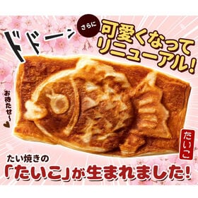 【日替わり数量限定】【4匹入】クロワッサンたい焼き(極上つぶ餡)【先行チケット利用NG】