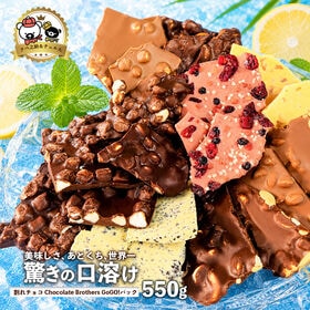 【計550g】感動の11種類割れチョコMIX！Go!Go!パック【欲張りチュル太(弟)】