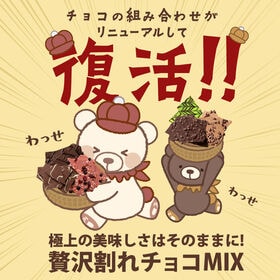 【計550g】感動の11種類割れチョコMIX！Go!Go!パック【欲張りチュル太(弟)】