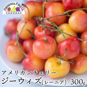 【予約受付】7月上旬~順次出荷【アメリカ】300g  GeeWhiz（レーニアチェリー) | ワシントン州オービル農園限定出荷！ 1粒500円玉前後の大玉サイズのレイニアチェリーです。