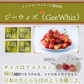 【予約受付】7月上旬~順次出荷【アメリカ】300g  GeeWhiz（レーニアチェリー)