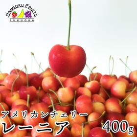 【アメリカ】400g　レーニアチェリー | 赤と黄色のグラデーションが可憐なレーニアチェリー！