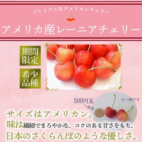 【アメリカ】1kg　レーニアチェリー