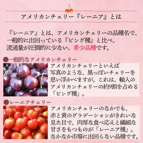 【アメリカ】1kg　レーニアチェリー
