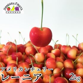 【アメリカ】2kg　レーニアチェリー