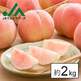【予約受付】8/1~順次出荷【約2kg】山形県産白桃(品種・玉数おまかせ)※ご家庭用