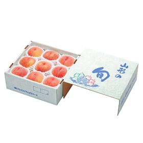 【予約受付】8/1~順次出荷【約2kg】山形県産白桃(品種・玉数おまかせ)※ご家庭用
