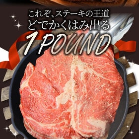 【450g】スパイシー ガーリック ステーキ 牛肩ロース