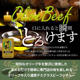 【200g×2袋】牛すじ ビーフシチュー
