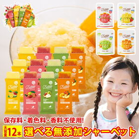 【40g×12本】FRUTTETO（フルッテート）各種 フレーバー シャーベット 各3本/添加物不使