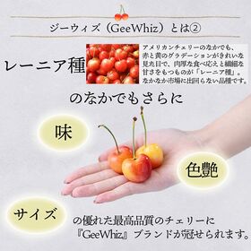 【予約受付】7月上旬~順次出荷【アメリカ】2kg  GeeWhiz（レーニアチェリー)