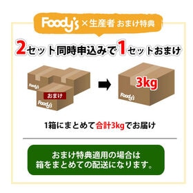 【予約受付】8/21~順次出荷【1kg】九州産 梨《個数・品種おまかせ》(ご家庭用)