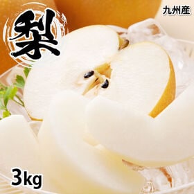 【予約受付】8/21~順次出荷【3kg】九州産 梨《個数・品種おまかせ》(ご家庭用)