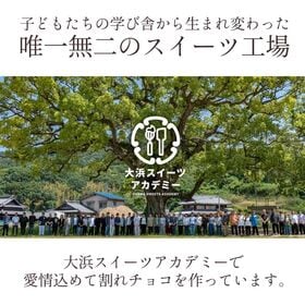【400g(200g×2)】割れチョコ スイート くるみ【クール便】