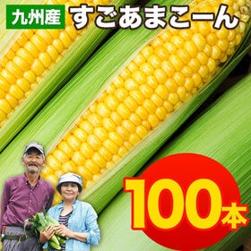 【予約受付】7/13~順次出荷【100本入】朝取り直送 九州産すごあまこーん とうもろこし | 生でも食べられるトウモロコシ♪
