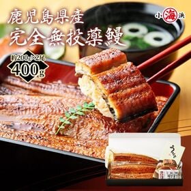 【約200g×2尾】うなぎ蒲焼き 国産　完全無投薬 鹿児島県...