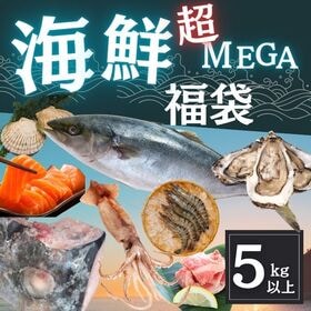 【5kg以上7品以上】海鮮福袋超MEGA盛り（鮪・牡蛎・海老・焼き魚等々）