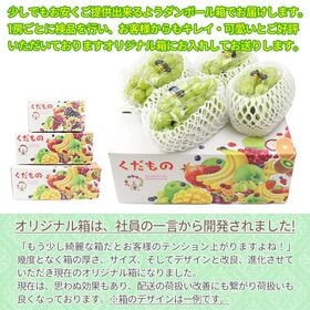 【予約受付】7/20~順次出荷【計5玉(1玉約300g)】幸水梨・ 豊水梨《秀品》