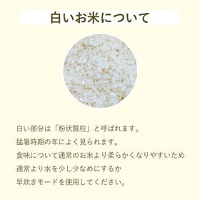 【10kg】生活応援米 精米 国産ブレンド米
