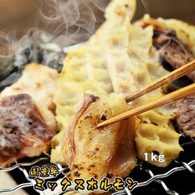 【日替わり数量限定】【1kg(500g×2パック)】国産牛ミックスホルモン(牛 小腸 大腸 センマイ 心臓 並ミノ 等) | 色々なホルモンを味わいたい方にピッタリ！