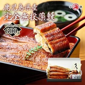 【約200g×3尾】うなぎ蒲焼き 国産　完全無投薬 鹿児島県...