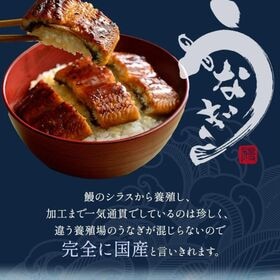 【約200g×3尾】うなぎ蒲焼き 国産　完全無投薬 鹿児島県産 特大【化粧箱入り】