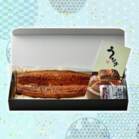 【約200g×1尾】うなぎ蒲焼き 国産　完全無投薬 鹿児島県産 特大【化粧箱入り】