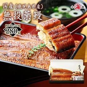 【約140g×2尾】うなぎ蒲焼き 国産　完全無投薬 鹿児島県...