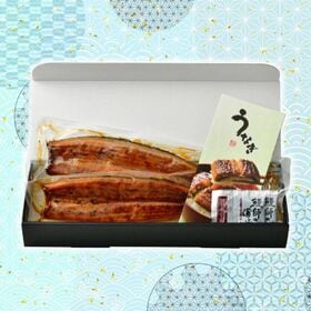 【約140g×2尾】うなぎ蒲焼き 国産　完全無投薬 鹿児島県産 特大【化粧箱入り】