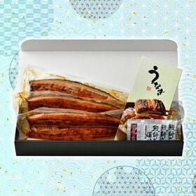 【約140g×3尾】うなぎ蒲焼き 国産　完全無投薬 鹿児島県産 特大【化粧箱入り】