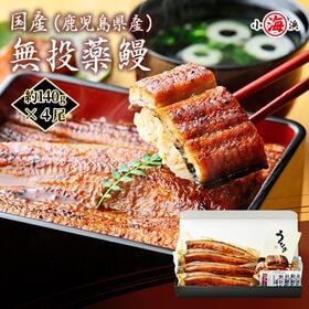 【約140g×4尾】うなぎ蒲焼き 国産　完全無投薬 鹿児島県...