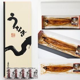 【約140g×4尾】うなぎ蒲焼き 国産　完全無投薬 鹿児島県産 特大【化粧箱入り】