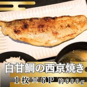 【計約600g/約100g×6パック】西京焼き《白甘鯛》 | 上品な味とふくよかな旨味！柔らかくも弾力ある身質が魅力！家康が最後の晩餐に選んだ高級魚！