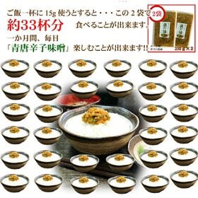 【230g×2袋】ご飯のお供 青唐がらし味噌