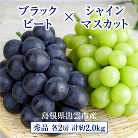 【予約受付】8/19~順次出荷【秀品約2.0kg各2房】島根県産ブラックビート&シャインマスカット | 注目の希少新品種 ブラックビートとシャインマスカットの夢のコラボ♪