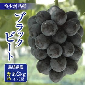 【予約受付】8/18~順次発送【秀品約2kg/4-5房】島根県出雲市産ぶどうブラックビート | 注目の希少新品種 黒々とした美しい大粒！藤稔×ピオーネのサラブレッド品種♪