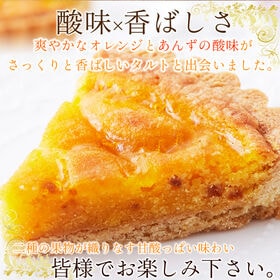 【5号 】オレンジ ＆ あんず の タルト ケーキ（保存料・人工甘味料不使）
