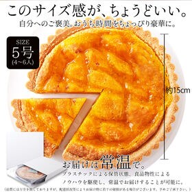 【5号 】オレンジ ＆ あんず の タルト ケーキ（保存料・人工甘味料不使）