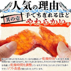 【170g×2袋】皮なしやわらか鮭とば《北海道産》天然秋鮭を100％使用【簡易包装】