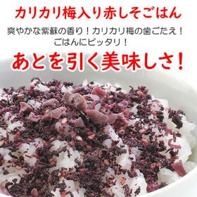 【日替わり数量限定】【45g×2袋】赤しそごはん「かりかり小梅入り」【先行チケット利用NG】