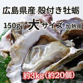 【約3kg/Lサイズ】広島県産 殻付き生牡蛎 （冷凍/加熱用） | 風味豊かな大粒のプリプリ牡蛎！BBQ、蒸し牡蠣、牡蛎鍋、カンカン焼き等々で！