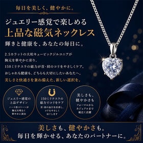 眩い輝き 大粒ハートキュービック磁気ネックレス