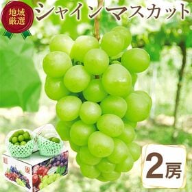 【予約受付】9/1~順次出荷【2房(640g前後)】≪秀品≫地域厳選 シャインマスカット | 糖度17度以上！皮ごと食べられる種なしぶどう♪香りと甘みをお楽しみください。