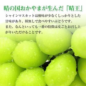 【予約受付】8/25~順次出荷【約1.2kg(2~3房)】岡山県産シャインマスカット 晴王