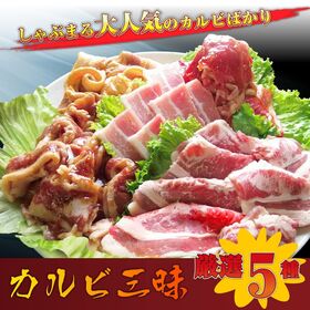 【計1.45kg】焼肉 カルビ 三昧 福袋 5種盛り