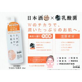 日本盛 日本酒のうるおい化粧水 500ml×2本