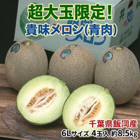 【約8.5kg(4玉入)/6Lサイズ】千葉県飯岡産 貴味メロン（青肉）超大玉【熨斗可】 | 超大玉限定！