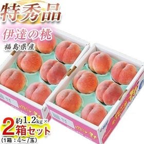 【予約受付】7/23~順次出荷【合計約2.4kg(約1.2kg×2箱)】《特秀品》福島県産 伊達の桃 | 桃源郷と呼ばれる、わずか5%の選りすぐりの桃をお届け♪